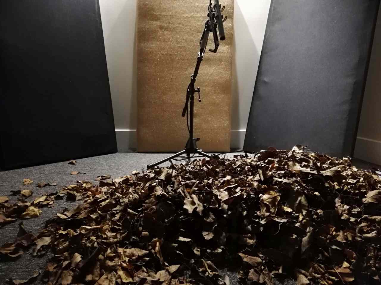 Leaves sound effect library royalty free, with jumping into leaves, raking leaves sound effects, leaf movement and more.