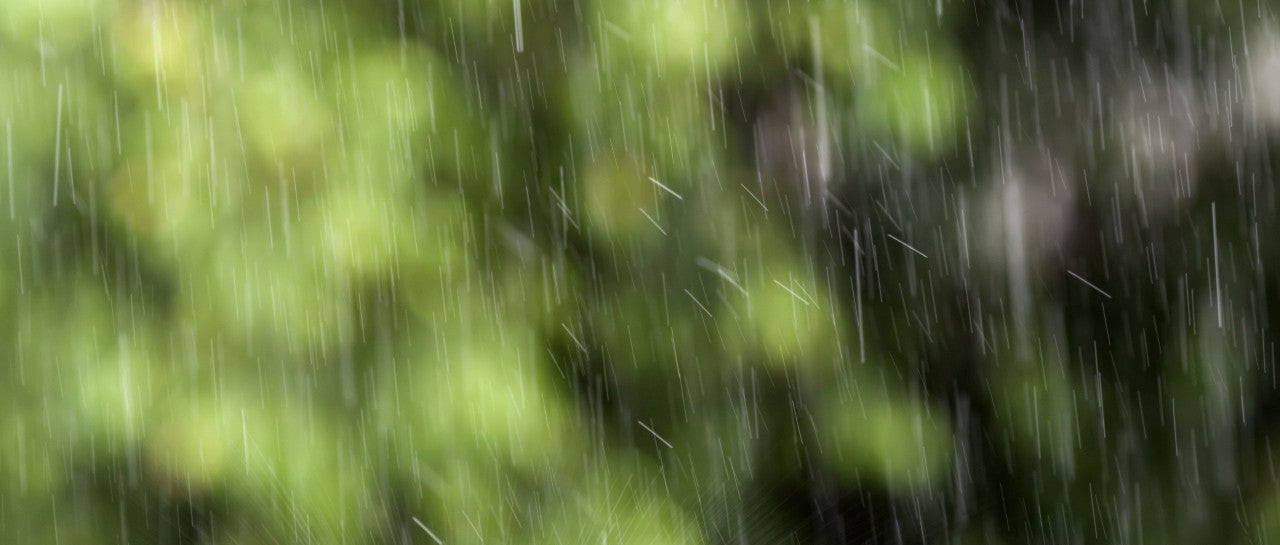 Rain sound effects library royalty free. Rain recordings library includes ambisonic rain recordings and surround rain.
