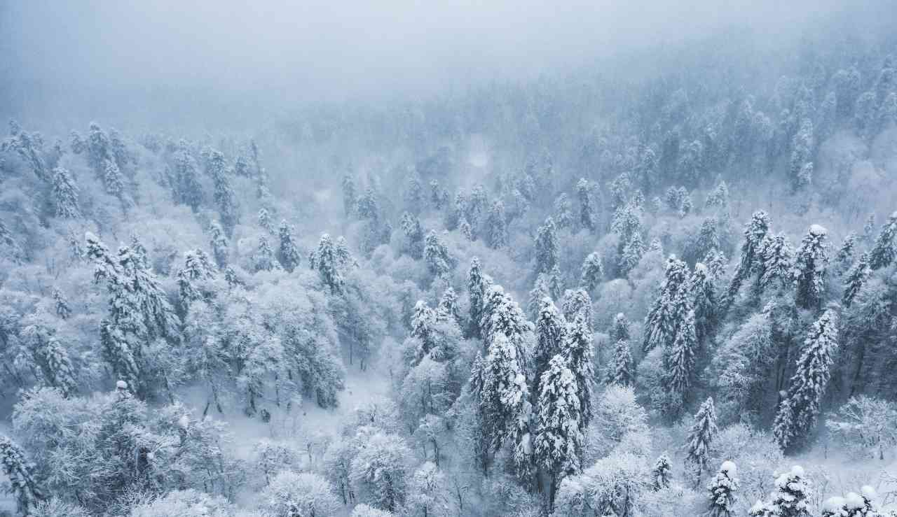 Tundra blizzard sound effects library with arctic wind and snowstorm sound recordings with icy wind blast sfx and snowy weather.
