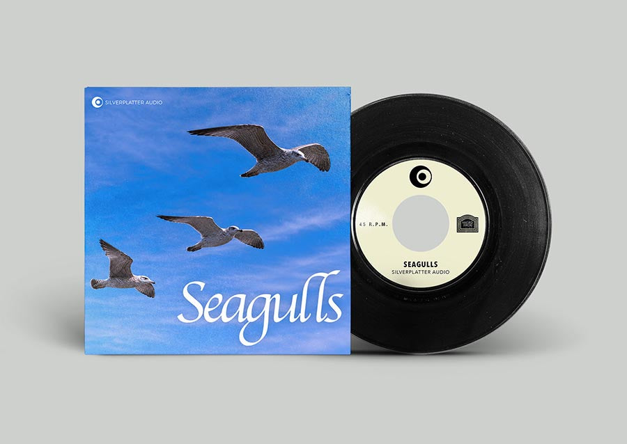 Seagulls sound effects library by Silverplatter Audio