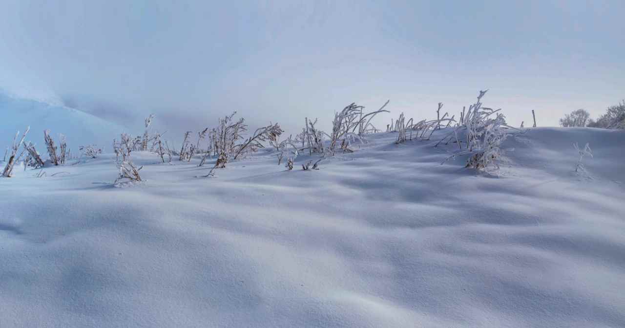 Snow sound effects library bundled up with blizzards sounds, tundra ambience, snowball sound effects and snow footsteps sfx.