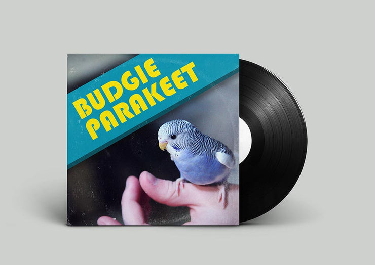 Budgie sound effects library and parakeet chirps with wing flap sfx and birdcall sounds by SilverPlatter Audio