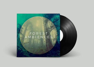 Forest ambience sound effects library with tree and leavves sfx and blowing wind through trees audio with detailed audio recordings.